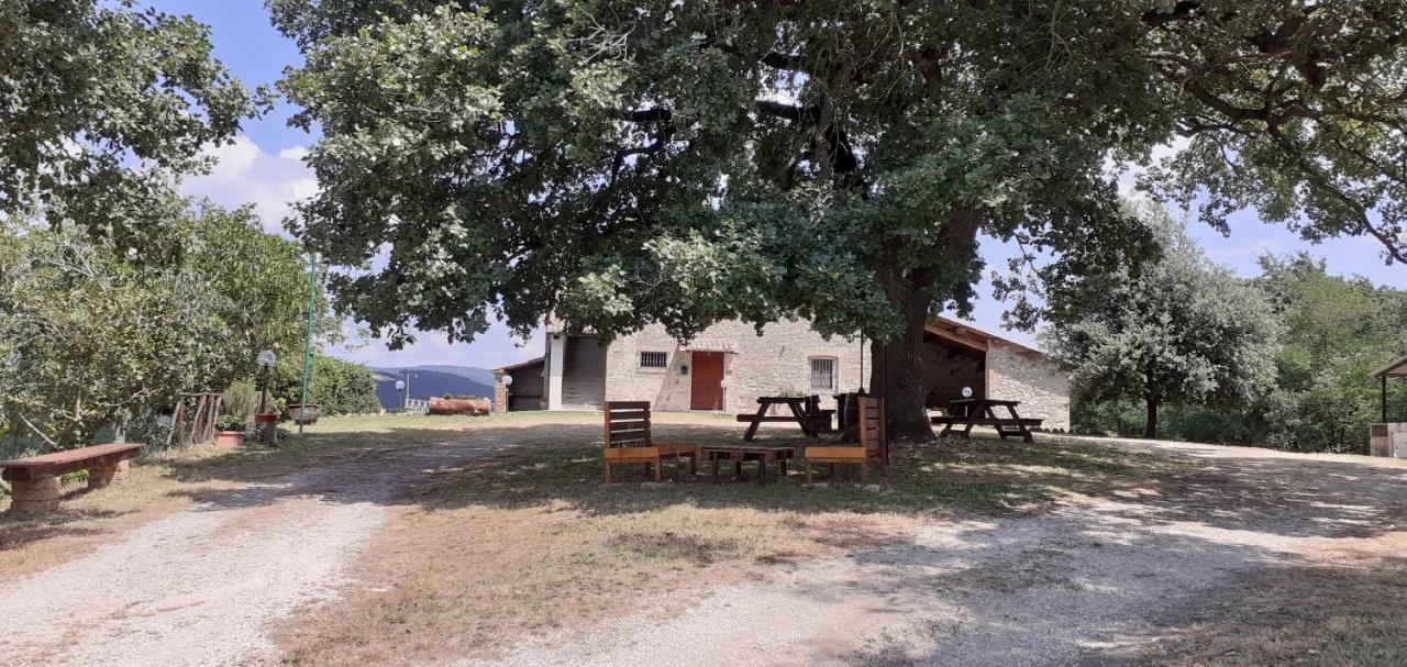 Casale Al Lago Corbara  Esterno foto