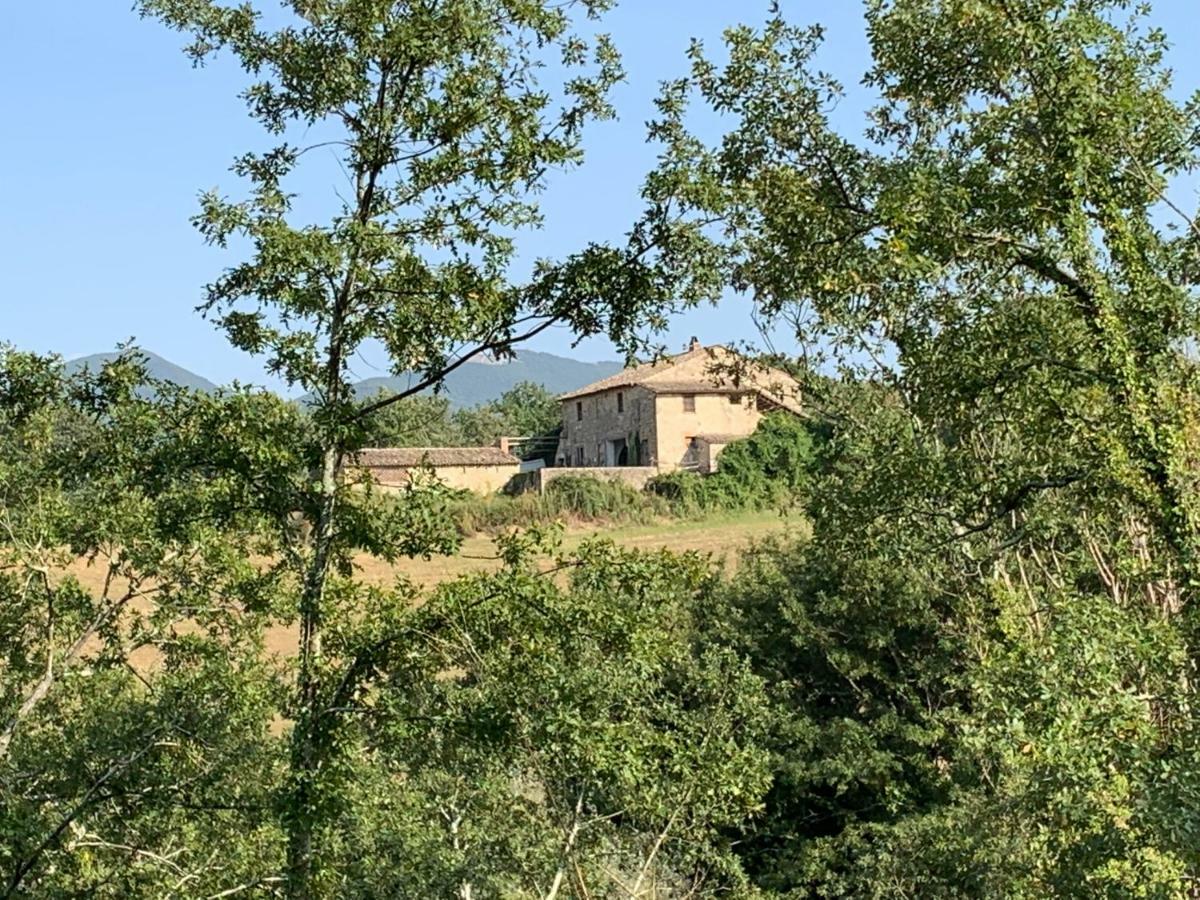 Casale Al Lago Corbara  Esterno foto