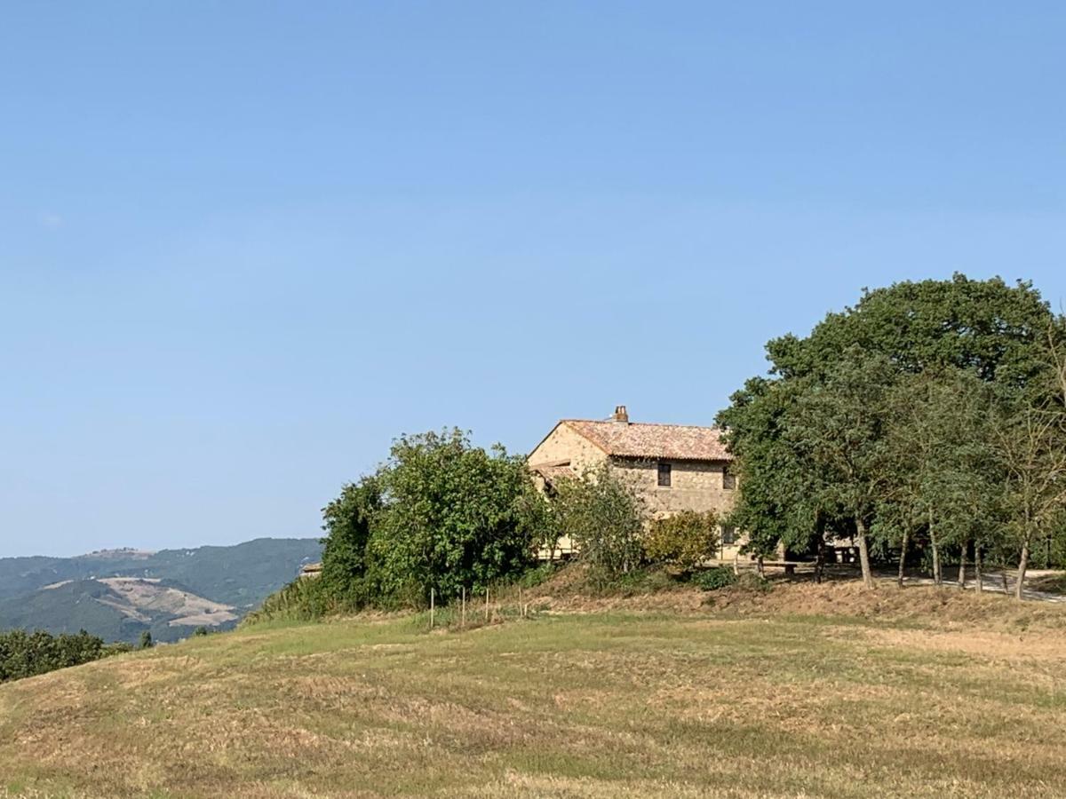 Casale Al Lago Corbara  Esterno foto