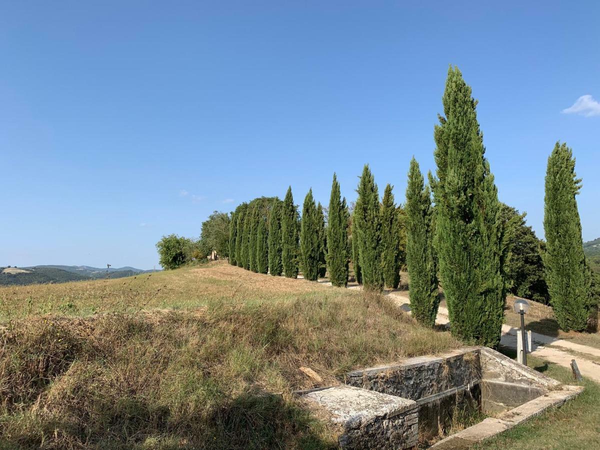 Casale Al Lago Corbara  Esterno foto